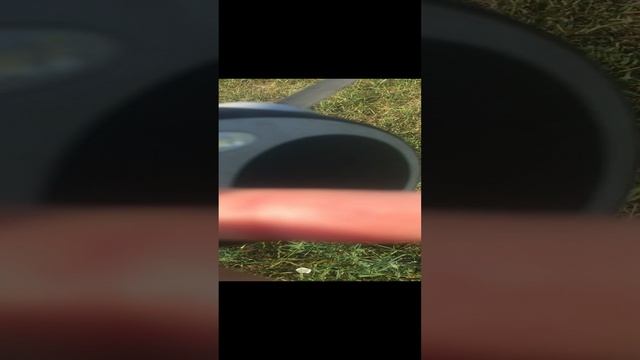 Гарди резвится