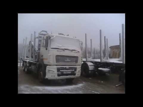 Коллеги