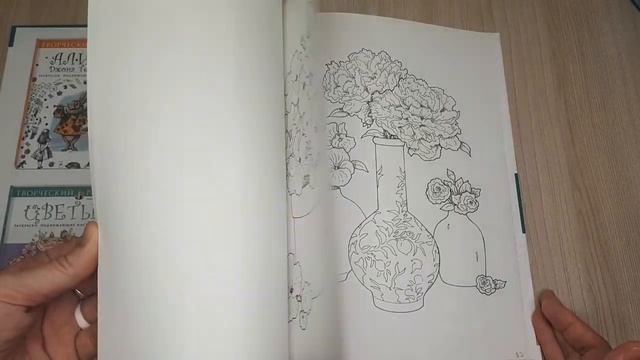 МОЯ КОЛЛЕКЦИЯ РАСКРАСОК/ЧАСТЬ #3/РАСКРАСКИ АНТИСТРЕСС/РАСКРАСКИ ДЛЯ ВЗРОСЛЫХ/ХОББИ