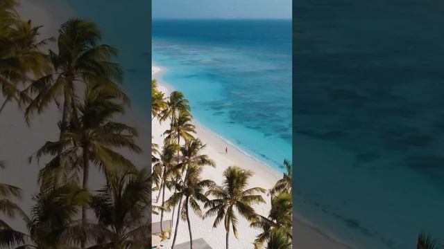 Тропический рай / Мальдивы