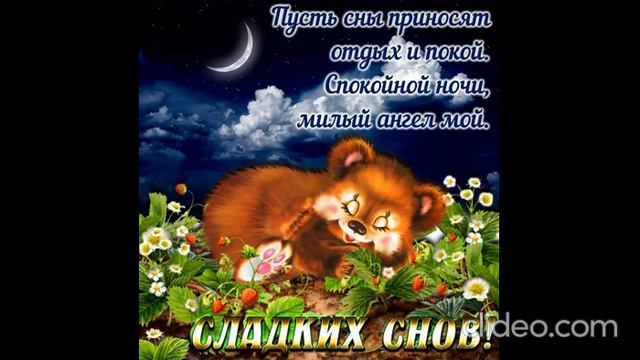 Спокойной ночи 🌙 Приятных снов 💞💞💞