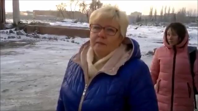 Омичей возмутил отстрел бездомных собак