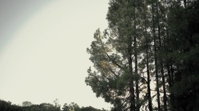 Sonder | Cinematic Video Canon R6 4K