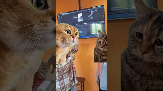Мое первый шортс