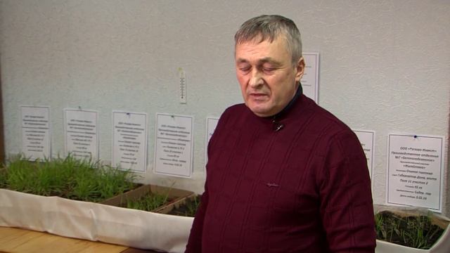 «Агрономика». Прогнозы на урожай-2016 (23.03.2016)