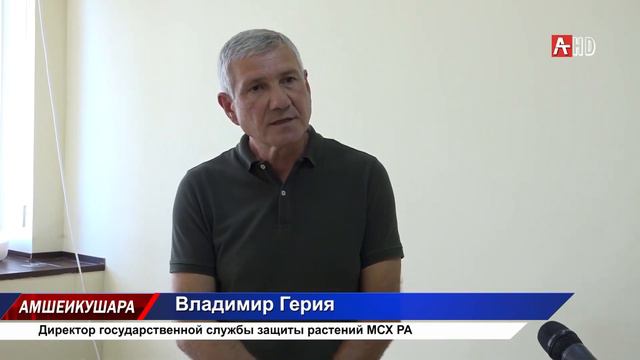 Феромонные ловушки 15.09.2020