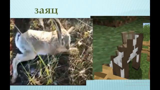 Сравниваем МОБЫ МАЙНКРАФТ В РЕАЛЬНОЙ ЖИЗНИ/What Minecraft Mobs Would Look Like Real Life