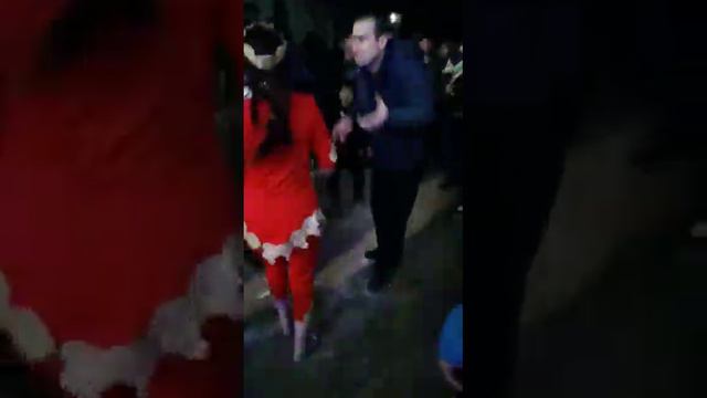 Туй дар хамадони. 2023 г.