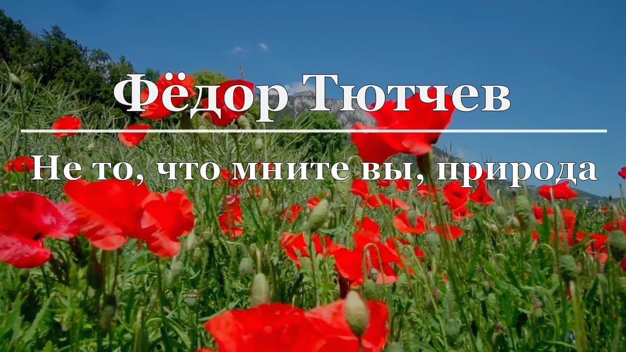 Фёдор Тютчев - Не то, что мните вы, природа