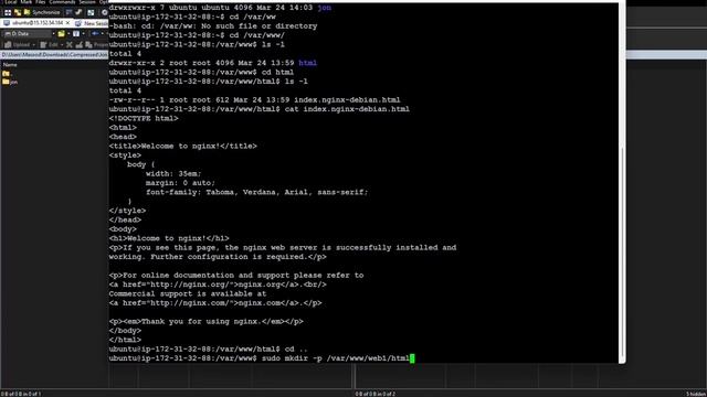 Nginx Reverse Proxy Part - 1 | TechnTricks