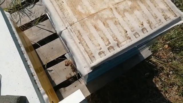 Холстик или плёнка в улье?