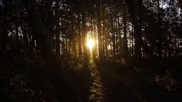 Матери пришел гроб из Афгана, и, хороня сына, она нашла письмо и это...
