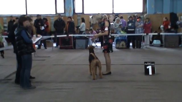 CACIB Эрдели Екатеринбург 2011