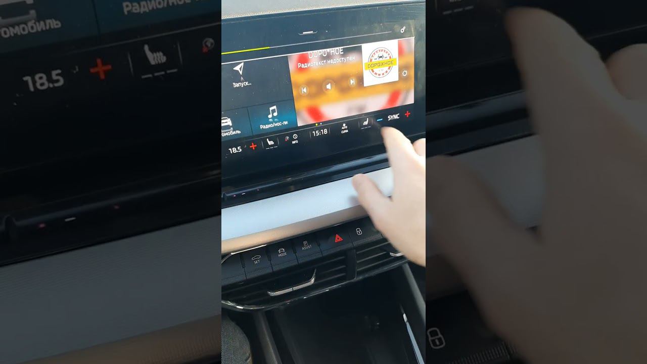 Skoda: День Глючных Прошивок VW (2023)