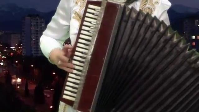 Дзгоева Светлана