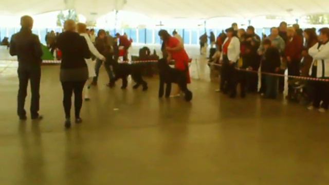 25.09.11, выставка в г.Гомель