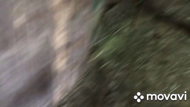 Я и моё хозяйство. ЧТО СДЕЛАЛИ С ЖАБРУДОМ?!