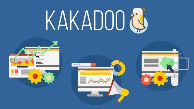 Kakadoo | Web Design & Development