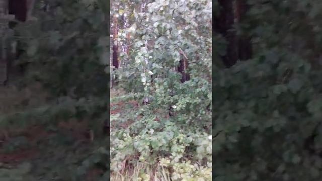 Озеро Большой Теренкуль