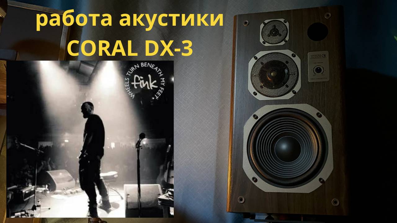 Работа акустики Coral DX-3 музыка Warm Shadow Fink