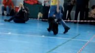 Моно в Северодвинске