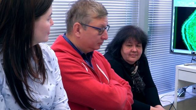 УЗИ сканер в эстетической медицине в дерматологии