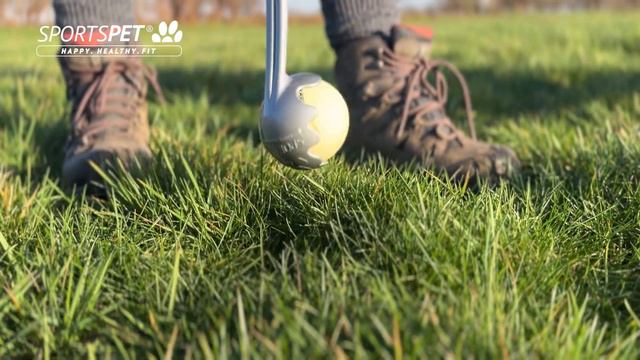 SPORTSPET High Bounce SPORT Launcher - Video 2 Alt Text