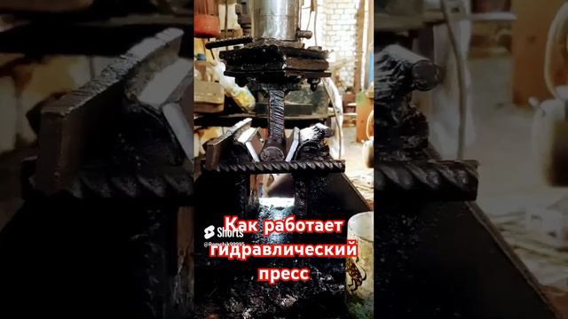 Как работает гидравлический пресс #reels#shortsvideo#shorts#short#world#birds#гидравлическийпресс