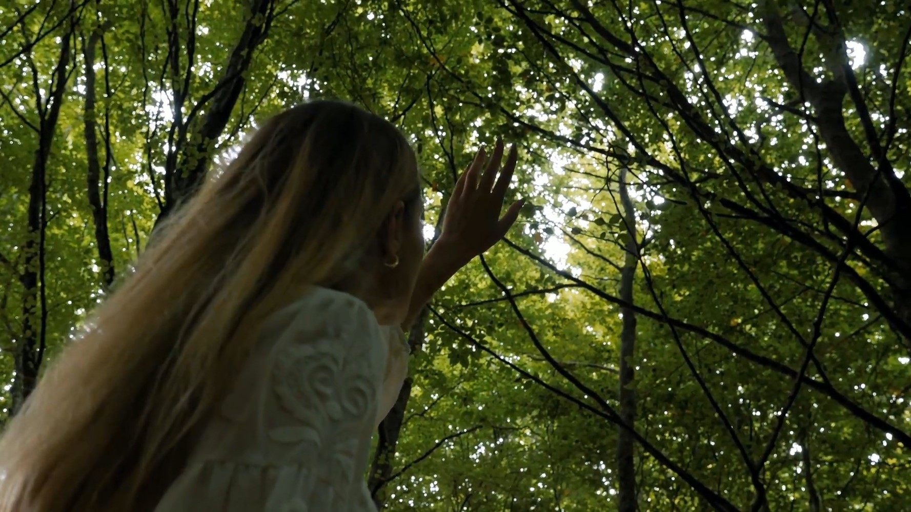 Golden Cage (Jimena Contreras)