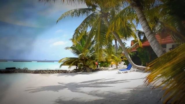 Мальдивы (Maldives) Птица-рыба и всякая живность!!!!!!