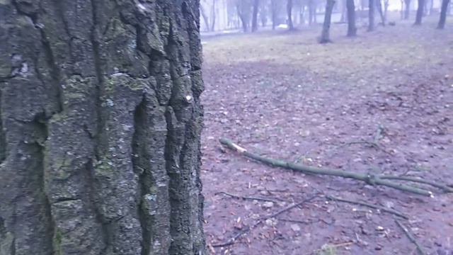 😮ИТОГИ 2К17😀НОВЫЙ ГОД🎉🎆ПОЗДРАВЛЕНИЯ🎄|🎁 ПОСЛЕДНИЙ РОЛИК 2017??!!😈 2017 ПРОЩАЙ??!