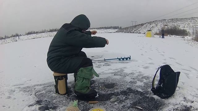 Плотва в песчаном карьере.