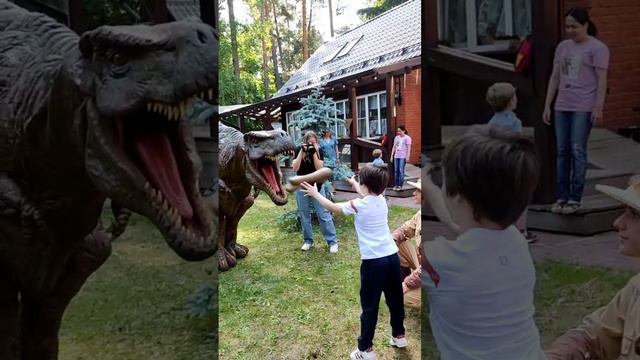 Дрессированный динозавр🦖