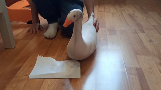 готовим пельмени