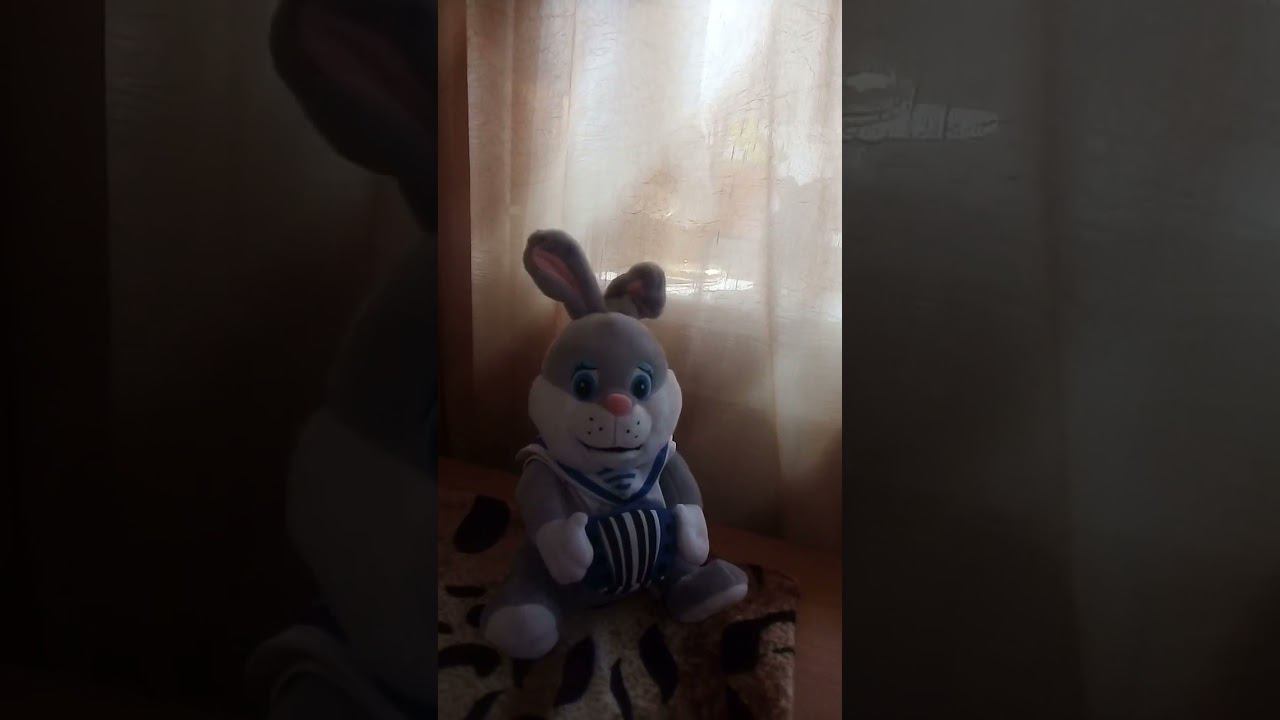 Поздравление от Степашки