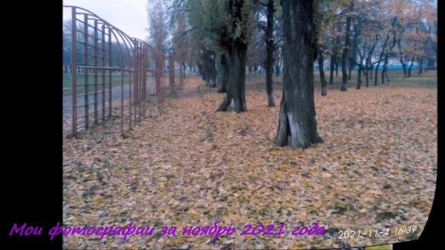 Мои фотографии за ноябрь 2021 года