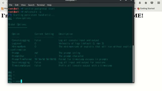 msf synflood tcp