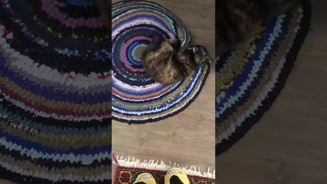 Где мой кофе?