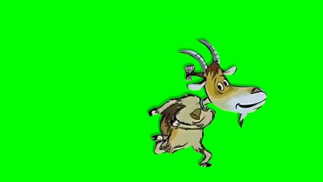 Коза танцует