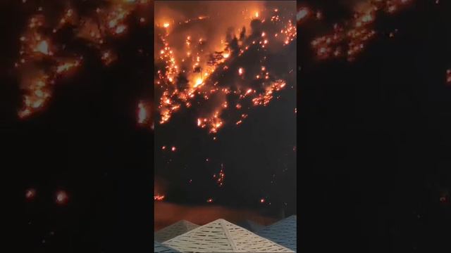 Бухта Инал, Краснодарский край, пожар июль 2024г.