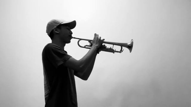 Dance monkey trumpet cover