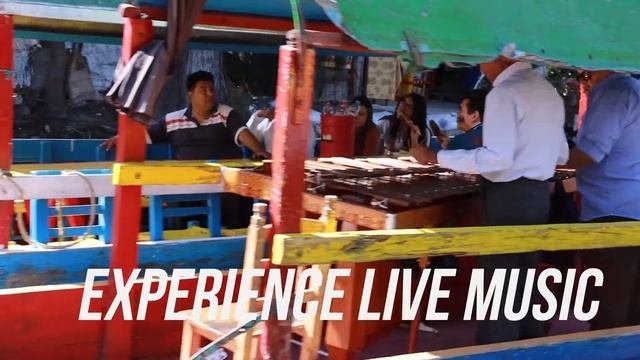 Exploring Xochimilco  Mexico City  Travel Guide