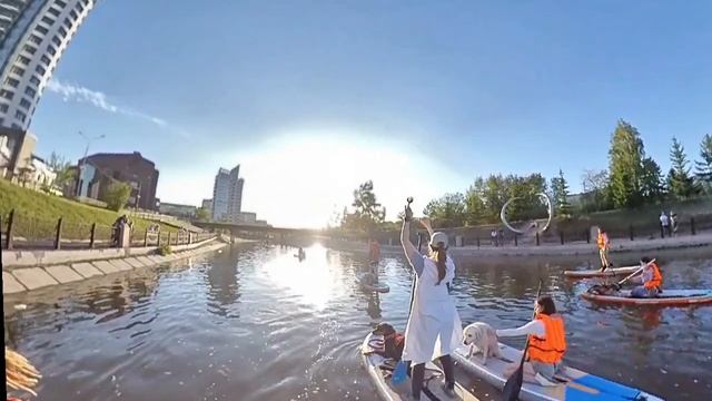 Сап прогулка_2021 06 04 с сабаками