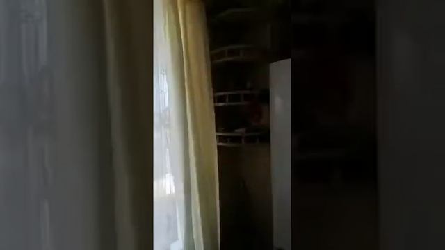 30 кВ.м, угловая 3 окна