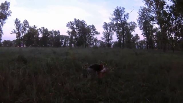 женская защита ножом
