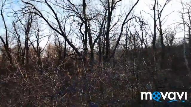 ВЫХОДНЫЕ В ДЕРЕВНЕЯГОДЫ В НОЯБРЕ