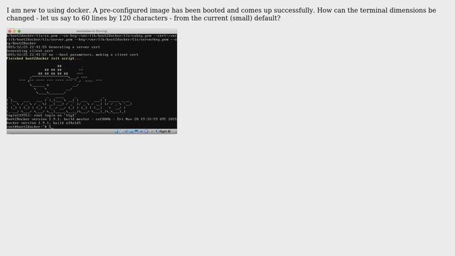 How to increase terminal dimensions in docker?