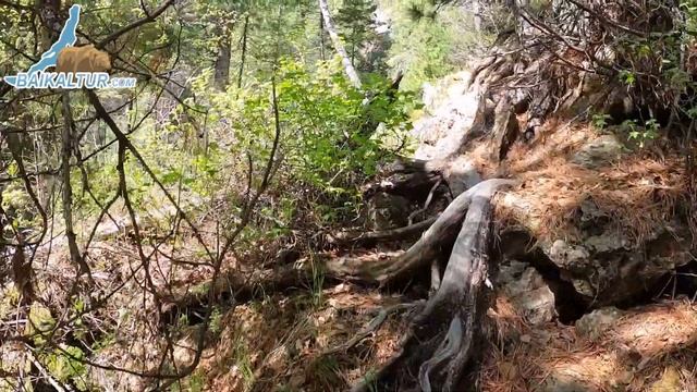 Маршрут по Хамар-Дабану, на водопад Чарующий