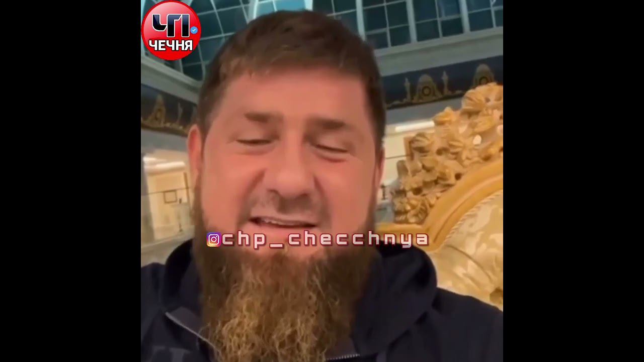 ❗️Собаки лают караван идет ))