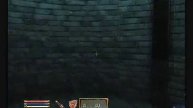 How to Get All Your Skills to 100 in Oblivion : Security With Commentary